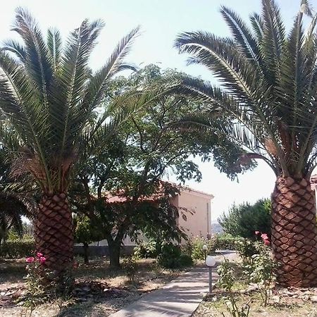 Oasis Studios Skala Kallonis Dış mekan fotoğraf
