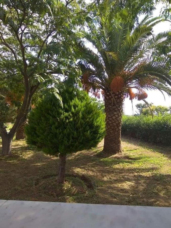 Oasis Studios Skala Kallonis Dış mekan fotoğraf