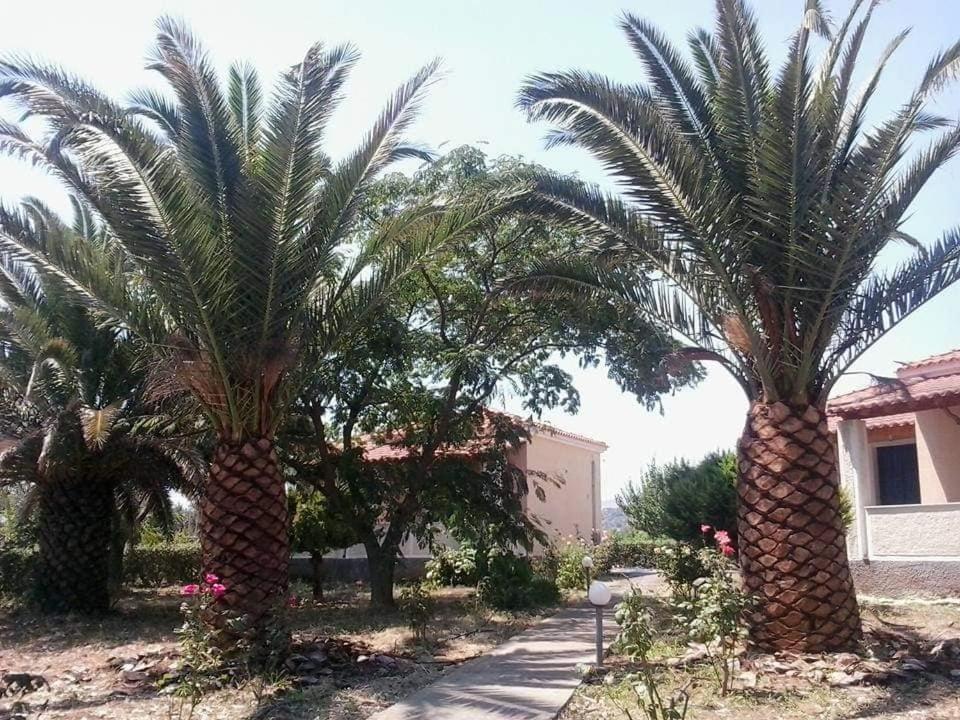 Oasis Studios Skala Kallonis Dış mekan fotoğraf