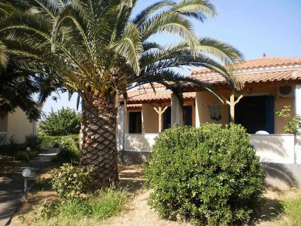 Oasis Studios Skala Kallonis Dış mekan fotoğraf