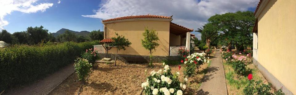 Oasis Studios Skala Kallonis Dış mekan fotoğraf