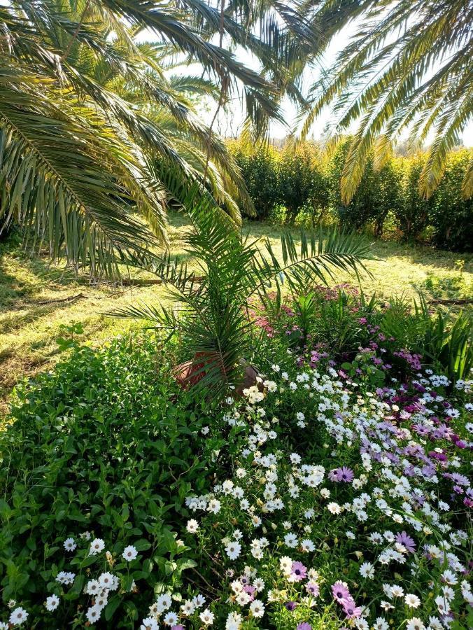 Oasis Studios Skala Kallonis Dış mekan fotoğraf