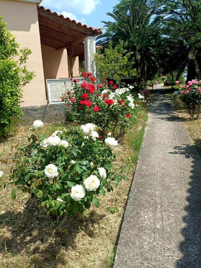 Oasis Studios Skala Kallonis Dış mekan fotoğraf