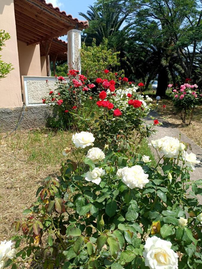 Oasis Studios Skala Kallonis Dış mekan fotoğraf